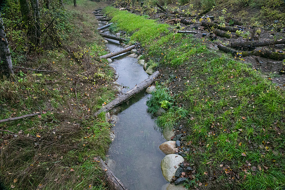 TRESTLE PLANTING - BROWNLANDS WETLAND RESTORATION PROJECT - Sombilon Photography-20