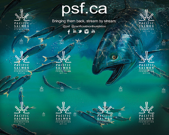 PSF BACKDROP TEST-7
