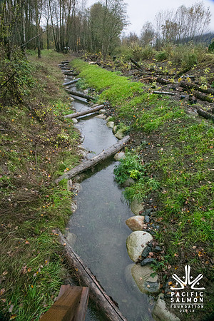 TRESTLE PLANTING - BROWNLANDS WETLAND RESTORATION PROJECT - Sombilon Photography-21