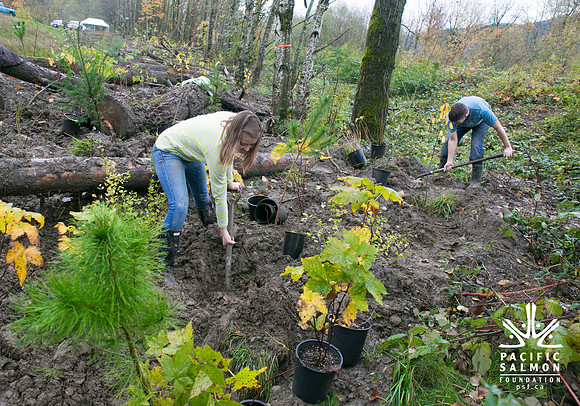 TRESTLE PLANTING - BROWNLANDS WETLAND RESTORATION PROJECT - Sombilon Photography-126
