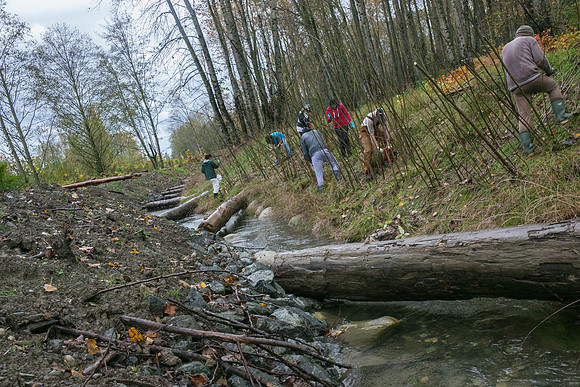 TRESTLE PLANTING - BROWNLANDS WETLAND RESTORATION PROJECT - Sombilon Photography-99