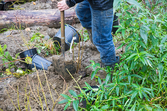TRESTLE PLANTING - BROWNLANDS WETLAND RESTORATION PROJECT - Sombilon Photography-205