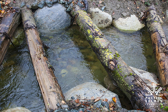 TRESTLE PLANTING - BROWNLANDS WETLAND RESTORATION PROJECT - Sombilon Photography-157