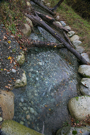 TRESTLE PLANTING - BROWNLANDS WETLAND RESTORATION PROJECT - Sombilon Photography-165
