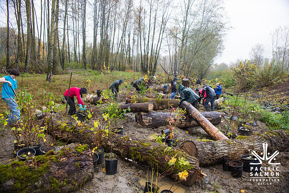 TRESTLE PLANTING - BROWNLANDS WETLAND RESTORATION PROJECT - Sombilon Photography-197