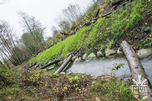 TRESTLE PLANTING - BROWNLANDS WETLAND RESTORATION PROJECT - Sombilon Photography-24