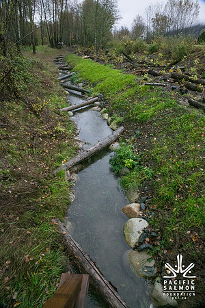 TRESTLE PLANTING - BROWNLANDS WETLAND RESTORATION PROJECT - Sombilon Photography-22
