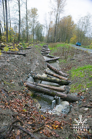 TRESTLE PLANTING - BROWNLANDS WETLAND RESTORATION PROJECT - Sombilon Photography-148