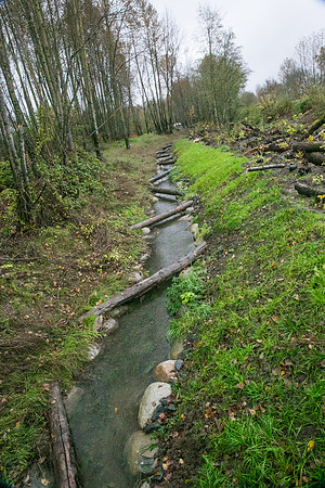 TRESTLE PLANTING - BROWNLANDS WETLAND RESTORATION PROJECT - Sombilon Photography-18