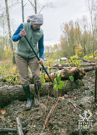TRESTLE PLANTING - BROWNLANDS WETLAND RESTORATION PROJECT - Sombilon Photography-113