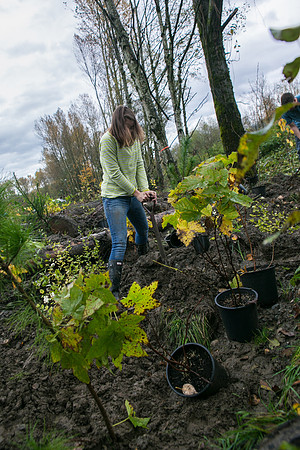 TRESTLE PLANTING - BROWNLANDS WETLAND RESTORATION PROJECT - Sombilon Photography-127