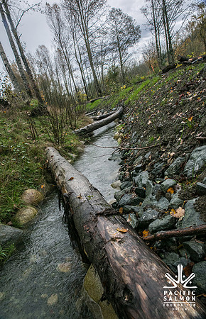 TRESTLE PLANTING - BROWNLANDS WETLAND RESTORATION PROJECT - Sombilon Photography-95