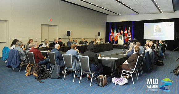 I - Wild Salmon Connections -PSF-169