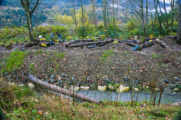 TRESTLE PLANTING - BROWNLANDS WETLAND RESTORATION PROJECT - Sombilon Photography-132