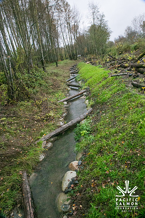 TRESTLE PLANTING - BROWNLANDS WETLAND RESTORATION PROJECT - Sombilon Photography-18