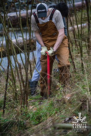 TRESTLE PLANTING - BROWNLANDS WETLAND RESTORATION PROJECT - Sombilon Photography-81