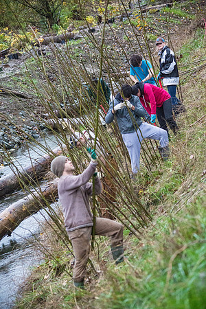 TRESTLE PLANTING - BROWNLANDS WETLAND RESTORATION PROJECT - Sombilon Photography-65