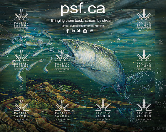 PSF BACKDROP TEST-2