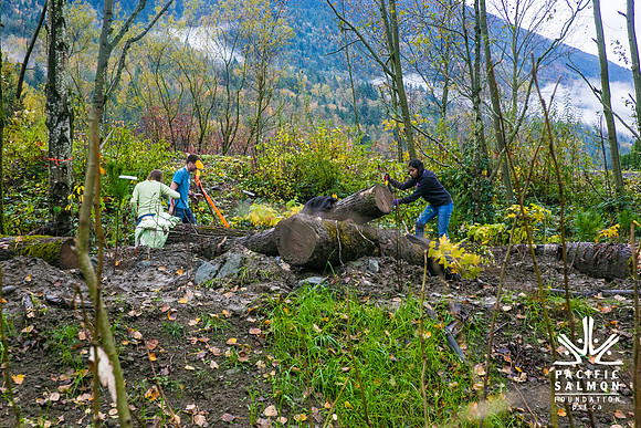 TRESTLE PLANTING - BROWNLANDS WETLAND RESTORATION PROJECT - Sombilon Photography-134