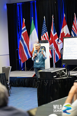 I - Wild Salmon Connections -PSF-188