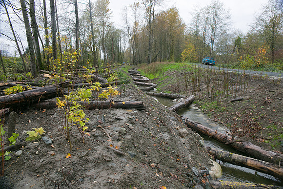 TRESTLE PLANTING - BROWNLANDS WETLAND RESTORATION PROJECT - Sombilon Photography-152