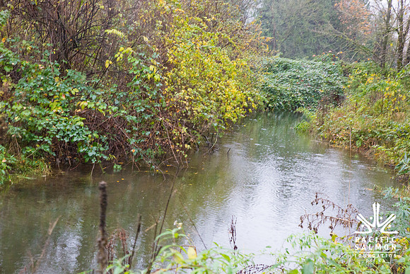 TRESTLE PLANTING - BROWNLANDS WETLAND RESTORATION PROJECT - Sombilon Photography-177