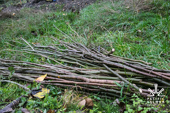 TRESTLE PLANTING - BROWNLANDS WETLAND RESTORATION PROJECT - Sombilon Photography-61