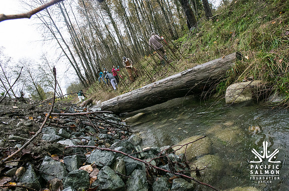 TRESTLE PLANTING - BROWNLANDS WETLAND RESTORATION PROJECT - Sombilon Photography-97
