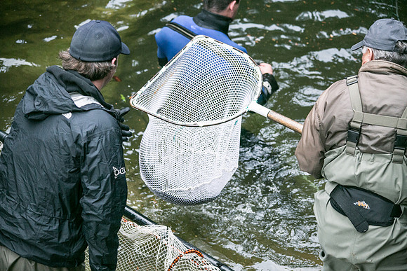 Seymour Salmon Society Fish Rescue - Sombilon Photography-10