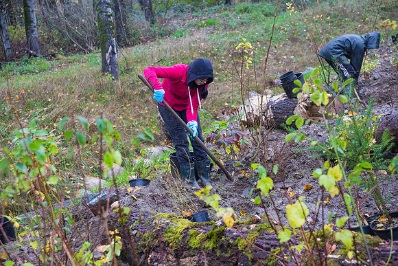 TRESTLE PLANTING - BROWNLANDS WETLAND RESTORATION PROJECT - Sombilon Photography-203