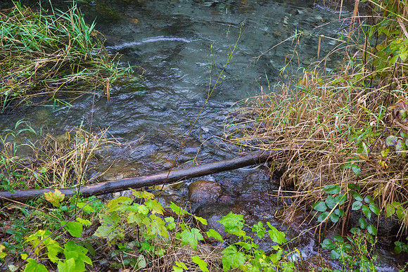 TRESTLE PLANTING - BROWNLANDS WETLAND RESTORATION PROJECT - Sombilon Photography-180
