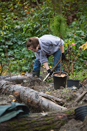 TRESTLE PLANTING - BROWNLANDS WETLAND RESTORATION PROJECT - Sombilon Photography-71