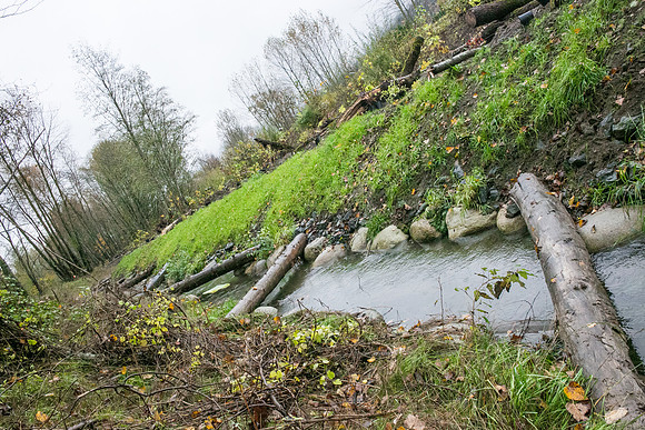 TRESTLE PLANTING - BROWNLANDS WETLAND RESTORATION PROJECT - Sombilon Photography-24