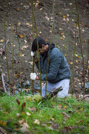 TRESTLE PLANTING - BROWNLANDS WETLAND RESTORATION PROJECT - Sombilon Photography-74