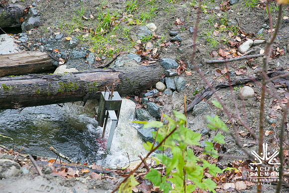 TRESTLE PLANTING - BROWNLANDS WETLAND RESTORATION PROJECT - Sombilon Photography-149