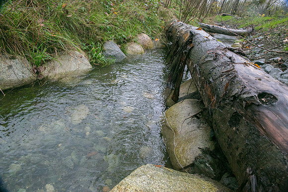 TRESTLE PLANTING - BROWNLANDS WETLAND RESTORATION PROJECT - Sombilon Photography-100