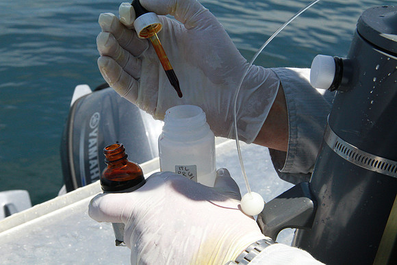 Salish Sea Marine Survival Project-68