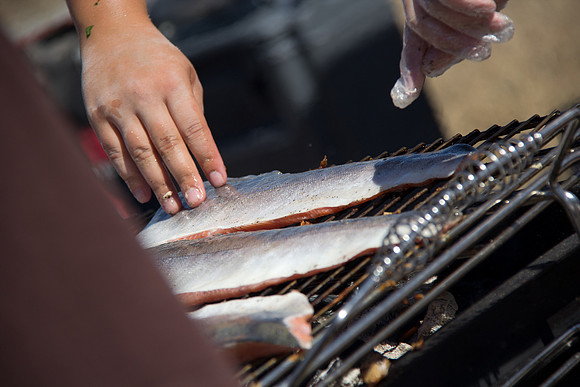 2013 Pink Salmon Festival-28