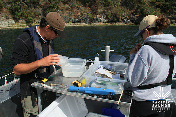 IMG_8778