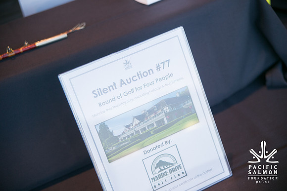 3 AUCTION ITEMS - PSF-SOMBILON PHOTOGRAPHY-162 - LOGO
