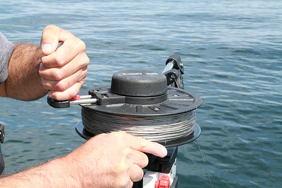 Salish Sea Marine Survival Project-87