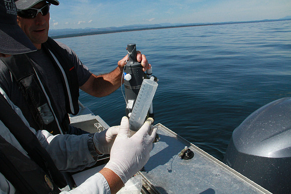 Salish Sea Marine Survival Project-42