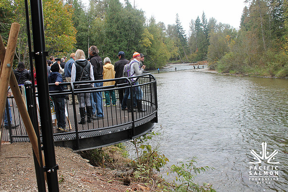 2014 Adams River Salute to Sockeye-139 - LOGO