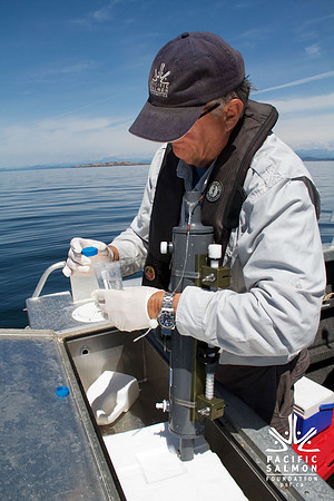 Salish Sea Marine Survival Project-9 - LOGO