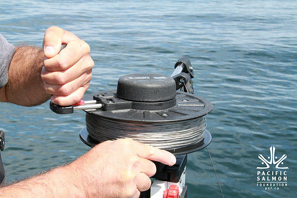 Salish Sea Marine Survival Project-87 - LOGO