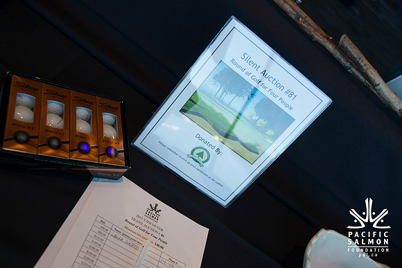 5 SETUP - PSF 2015 - SOMBILON PHOTOGRAPHY-212