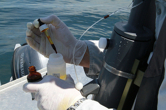 Salish Sea Marine Survival Project-65