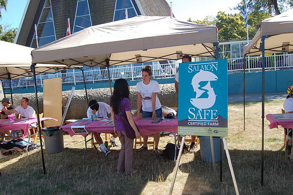 2011 Pink Salmon Festival-122