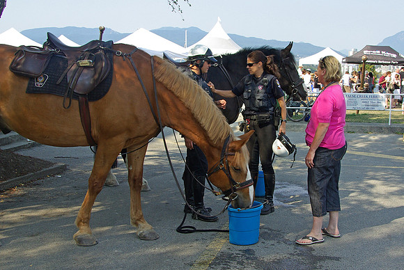 2009 Pink Salmon Festival-10