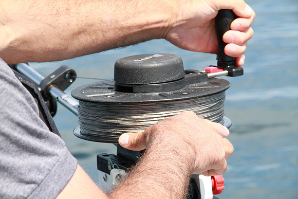Salish Sea Marine Survival Project-84